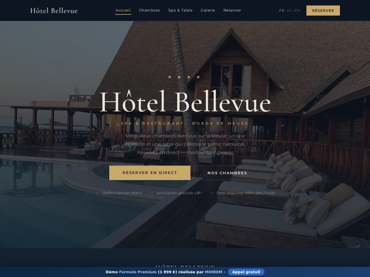 Aperçu du site Hôtel Bellevue